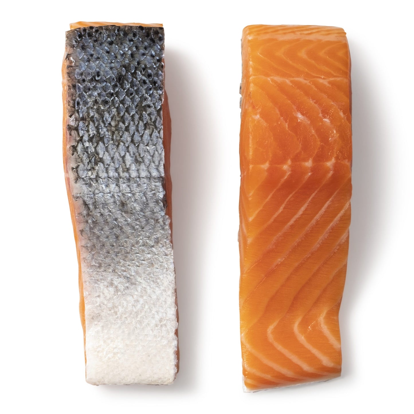 Atlantic Salmon Fillet