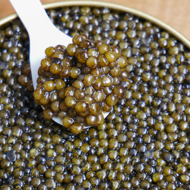 Kaluga Queen Premium Caviar