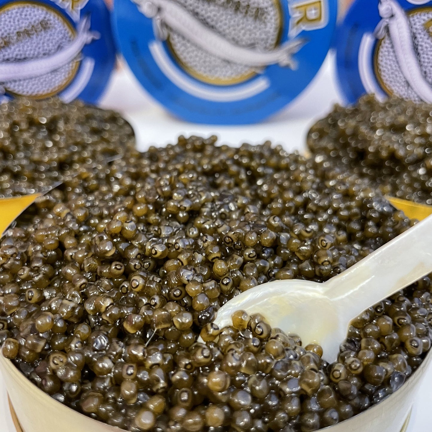 Kaluga King Premium Black Caviar