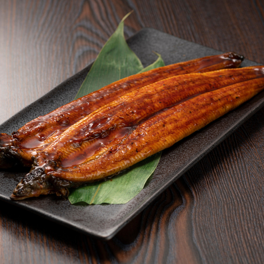 Unagi Kabayaki