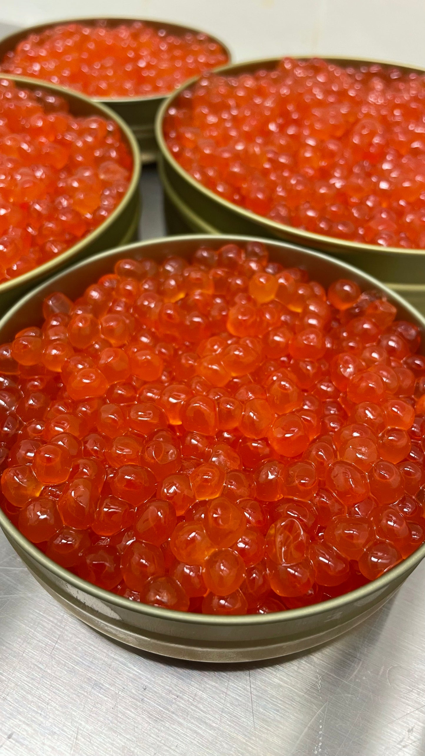 XIP Salmon Roe