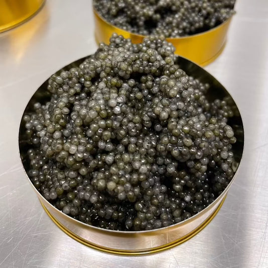 Royal American Sturgeon Premium Caviar