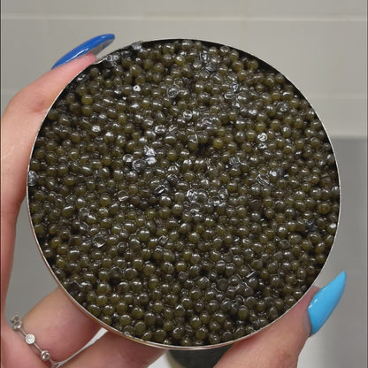 Kaluga Queen Premium Black Caviar